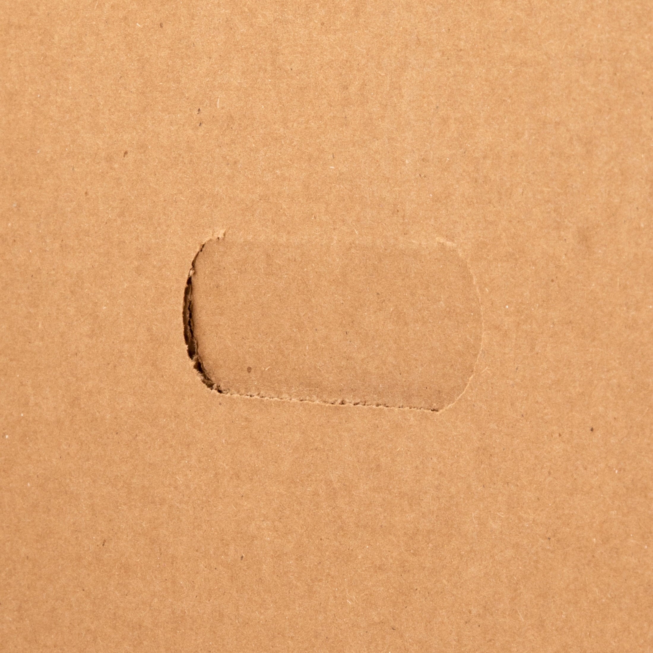Light Duty Letter Size Storage Box, White, 12 / Carton (Quantity) - Image 4