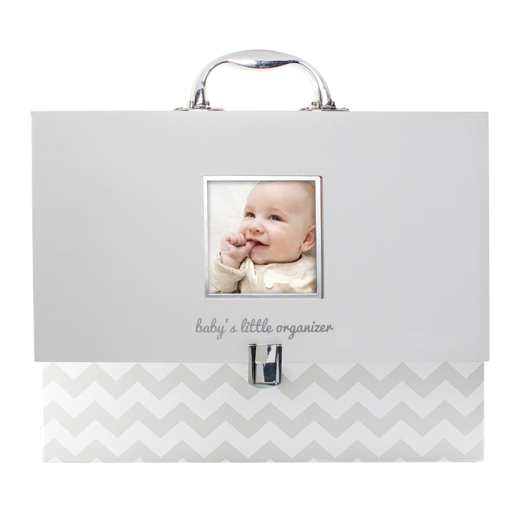 Baby Document Organizer with Carry Handle, Briefcase and Document File Keeper, Baby's Paperwork and Records, Newborn,...